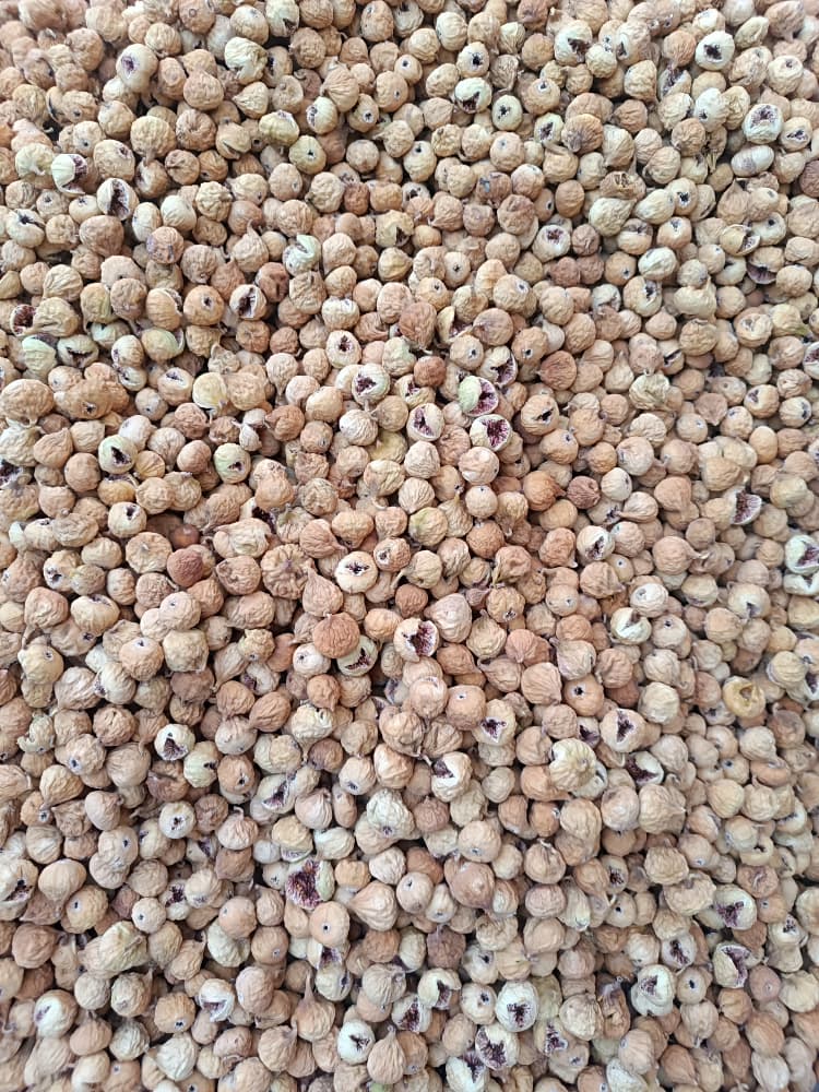 تصویر 1 از خرید ویژه انجیر معمولی ریز (A) + ارسال رایگان